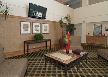H I Express & Suites San Antonio Medical-Six Flags المظهر الخارجي الصورة